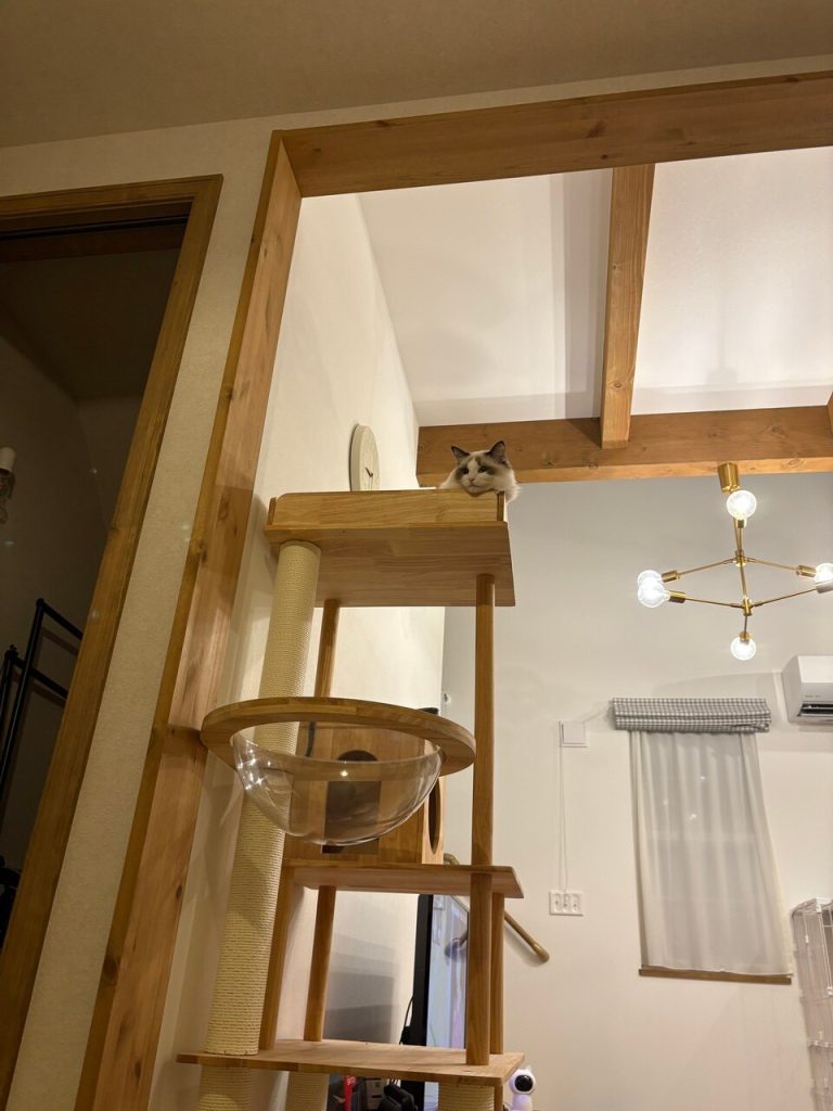 ビビ