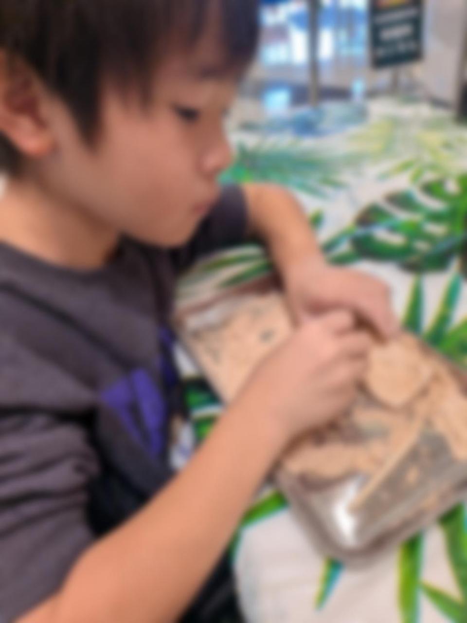 息子との休日_20261020_1